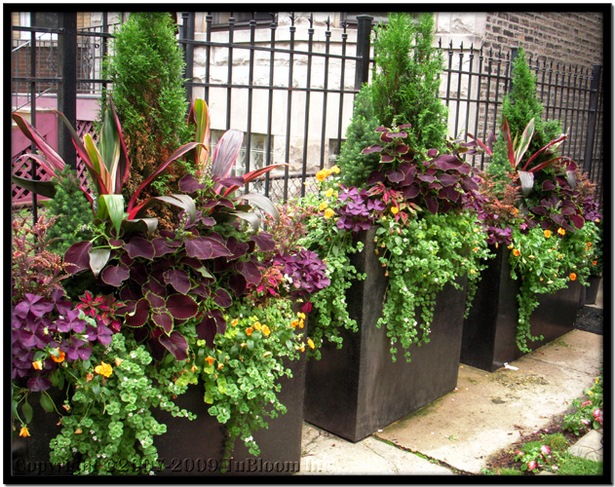 outdoor-summer-planter-ideas-26_17 Открит лято плантатор идеи
