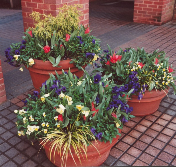 outside-flower-pot-arrangement-ideas-30_17 Външни идеи за саксия за цветя