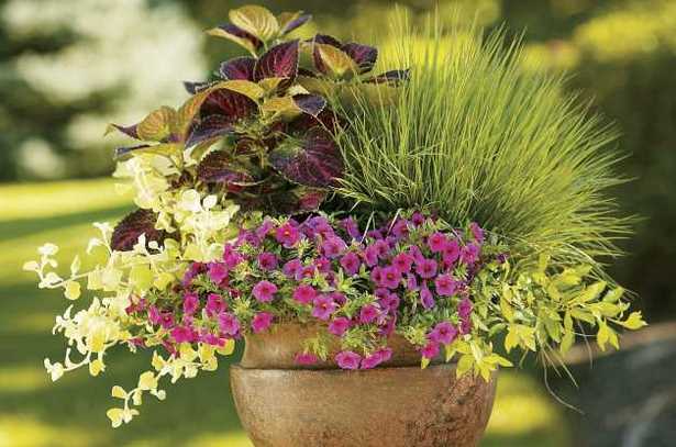 outside-flower-pot-arrangement-ideas-30_4 Външни идеи за саксия за цветя