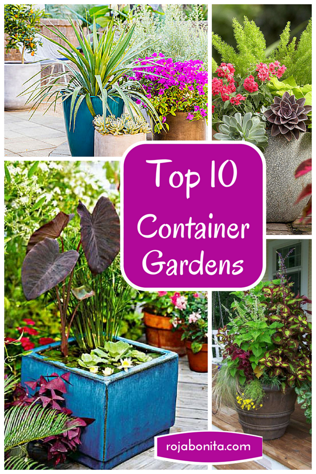 patio-container-gardening-22 Вътрешен двор контейнер градинарство