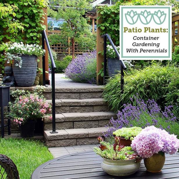 patio-container-gardening-22_3 Вътрешен двор контейнер градинарство