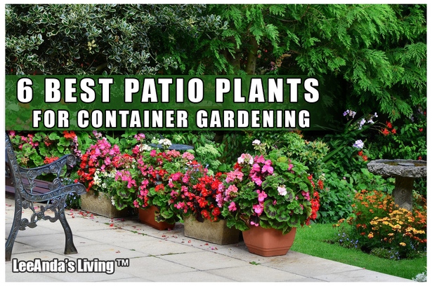 patio-container-gardening-22_8 Вътрешен двор контейнер градинарство