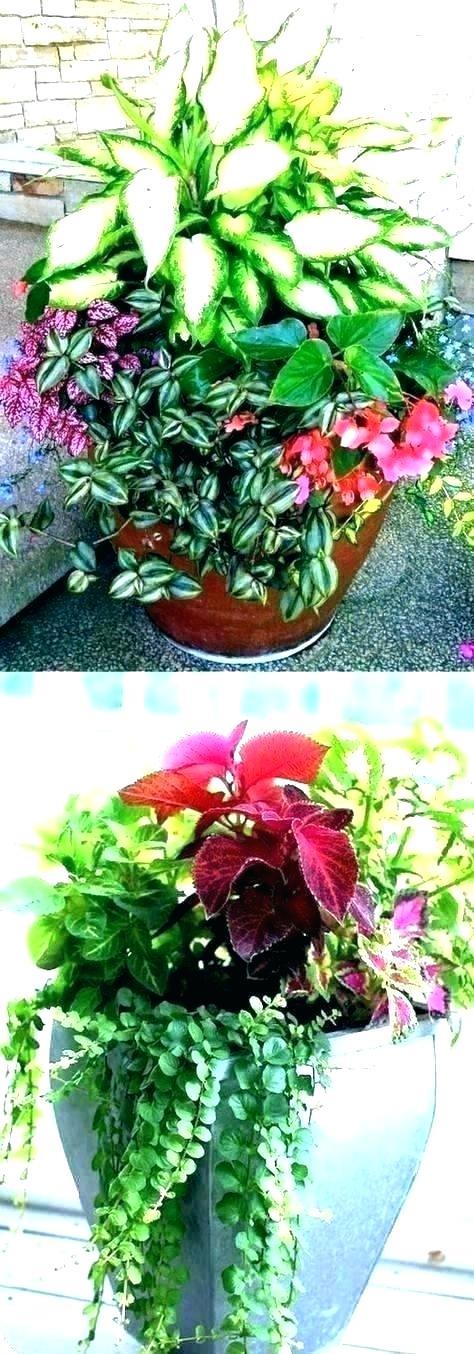 patio-flower-pot-designs-06_8 Вътрешен двор цвете саксия дизайни