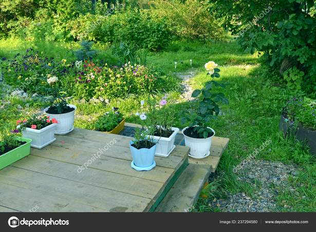 patio-pots-with-plants-46 Вътрешен двор саксии с растения