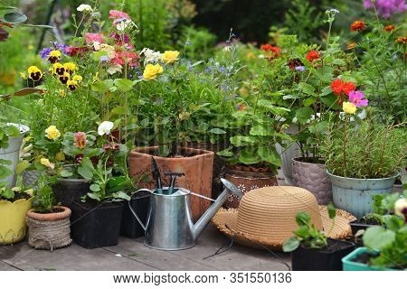 patio-pots-with-plants-46_2 Вътрешен двор саксии с растения