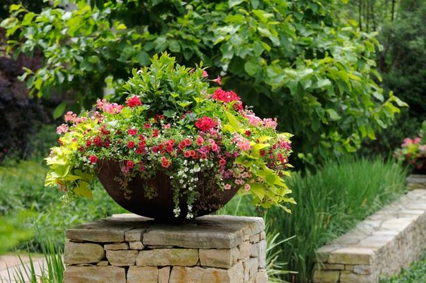 patio-pots-with-plants-46_6 Вътрешен двор саксии с растения