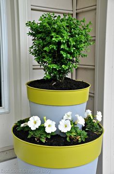patio-pots-with-plants-46_8 Вътрешен двор саксии с растения