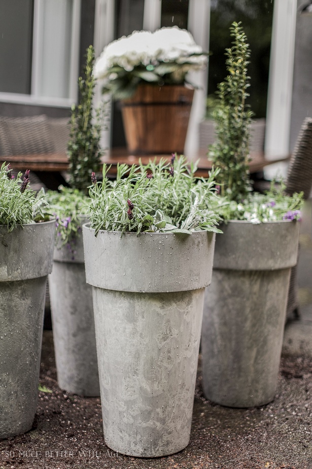 patio-pots-with-plants-46_9 Вътрешен двор саксии с растения