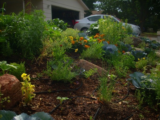 planting-front-yard-garden-02_2 Засаждане на преден двор градина