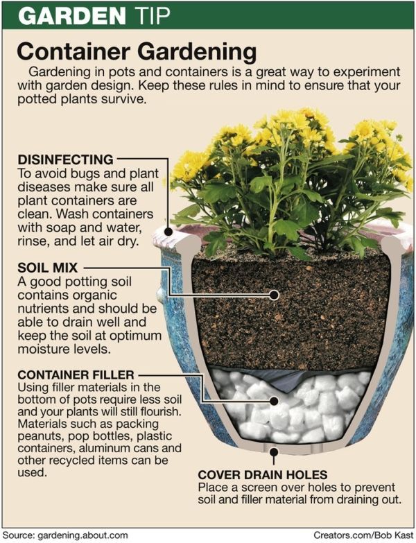 planting-plants-in-pots-80_9 Засаждане на растения в саксии