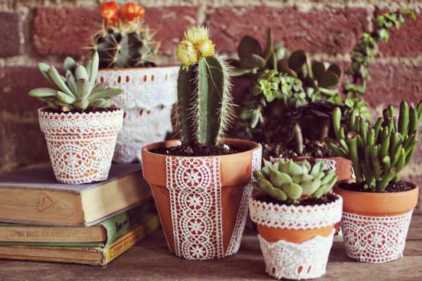 plants-for-pots-ideas-71 Растения за саксии идеи