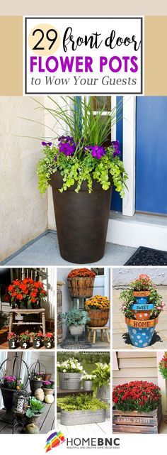 porch-potted-plant-ideas-99_5 Веранда саксийни растения идеи