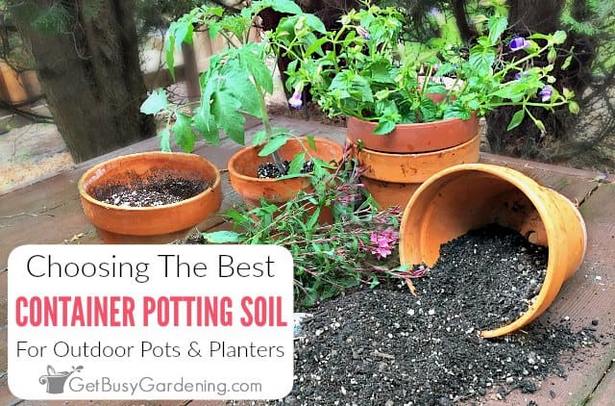 potted-container-gardens-43_10 Саксийни контейнери градини