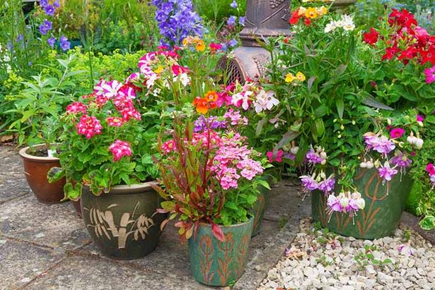potted-container-gardens-43_2 Саксийни контейнери градини