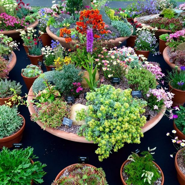 potted-flower-bed-ideas-50_7 Саксийни идеи за цветни лехи