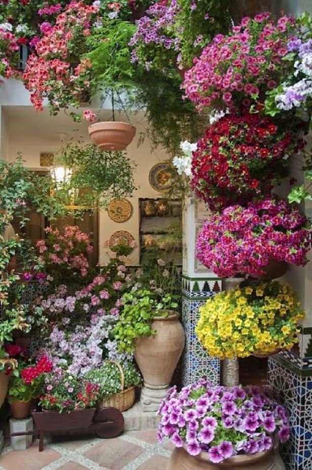 potted-flower-garden-ideas-20_11 Саксийни идеи за цветна градина