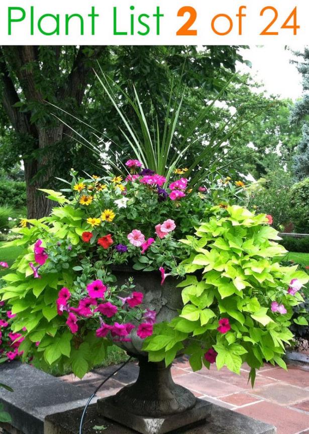 potted-flower-garden-ideas-20_12 Саксийни идеи за цветна градина