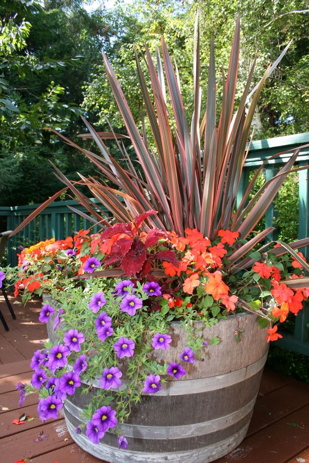 potted-flower-garden-ideas-20_13 Саксийни идеи за цветна градина