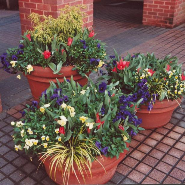 potted-flower-garden-ideas-20_2 Саксийни идеи за цветна градина