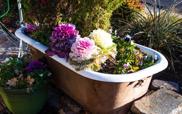 potted-flower-garden-ideas-20_3 Саксийни идеи за цветна градина