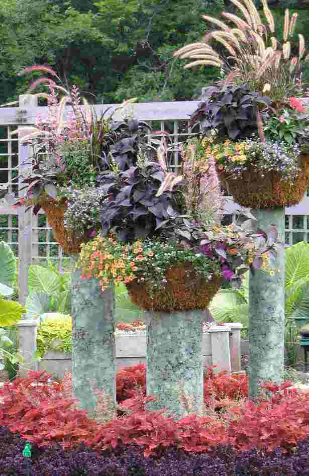 potted-flower-garden-ideas-20_5 Саксийни идеи за цветна градина
