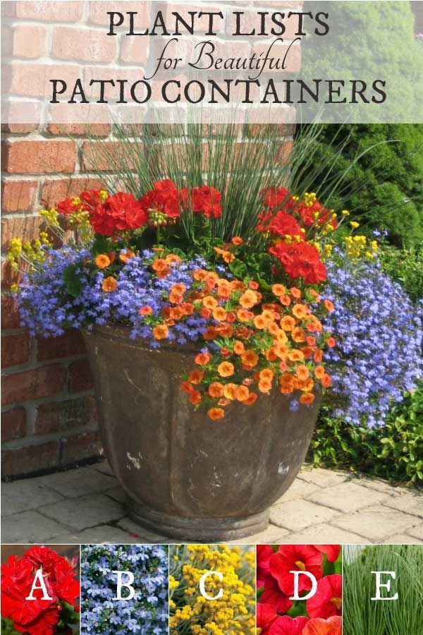 potted-flower-pot-ideas-06_2 Саксийни идеи за цветя