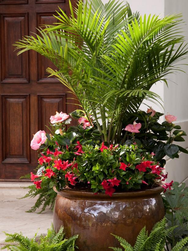 potted-plant-ideas-for-full-sun-59_2 Идеи за саксийни растения за пълно слънце