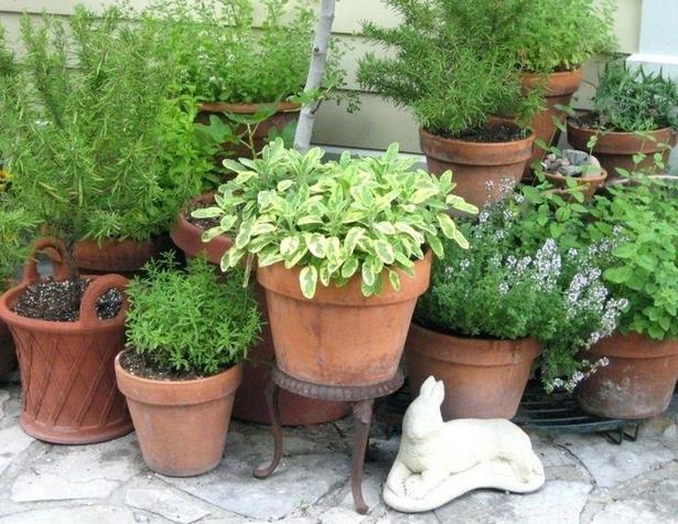 potted-plants-outdoor-garden-07_6 Саксийни растения открит градина