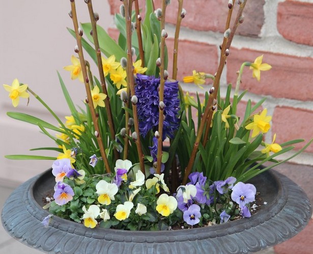 potted-spring-flowers-ideas-61_11 Саксийни пролетни цветя Идеи