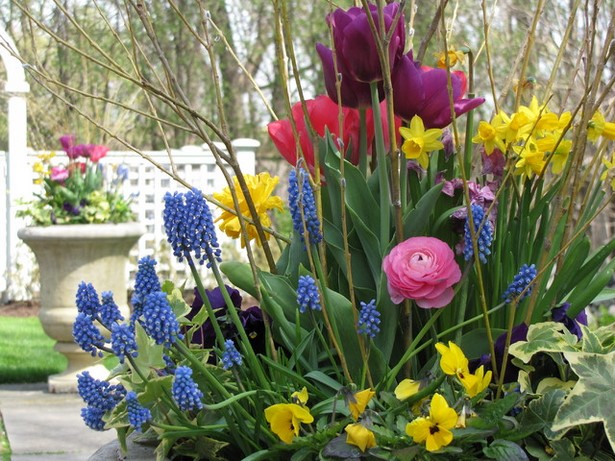 potted-spring-flowers-ideas-61_14 Саксийни пролетни цветя Идеи