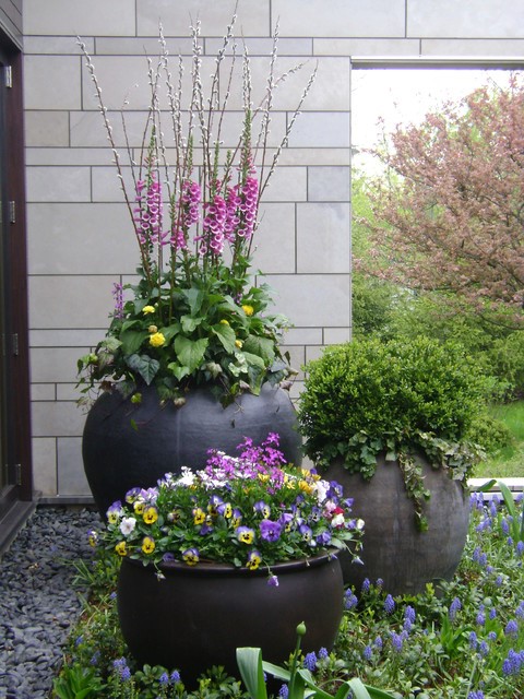 potted-spring-flowers-ideas-61_4 Саксийни пролетни цветя Идеи