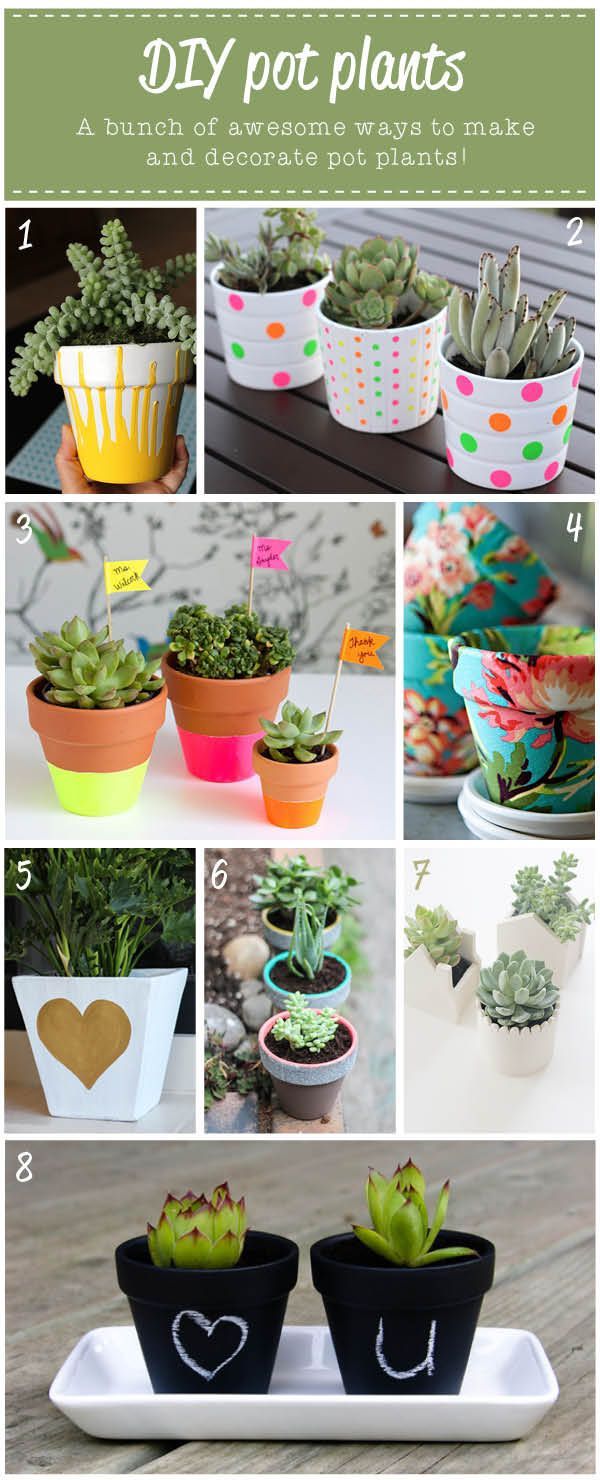 pretty-potted-plant-ideas-85_7 Доста саксийни идеи за растения