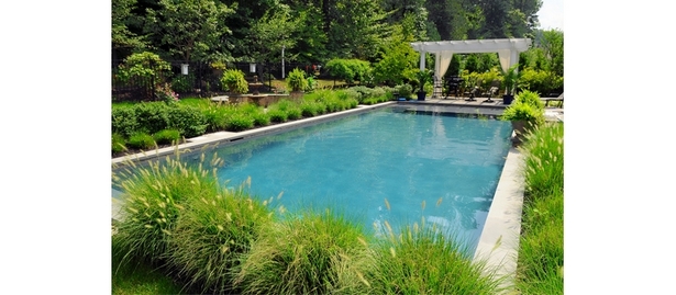 rectangle-inground-pool-landscaping-70_15 Правоъгълник вземен басейн озеленяване