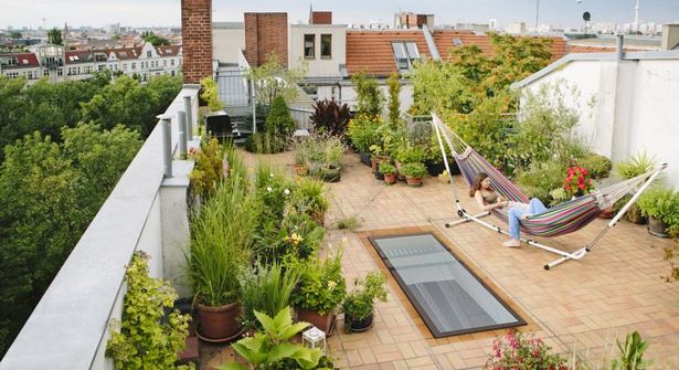 Идеи за покривна градина