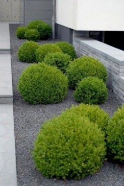 simple-landscaping-ideas-for-a-small-front-yard-06_5 Прости идеи за озеленяване за малък преден двор