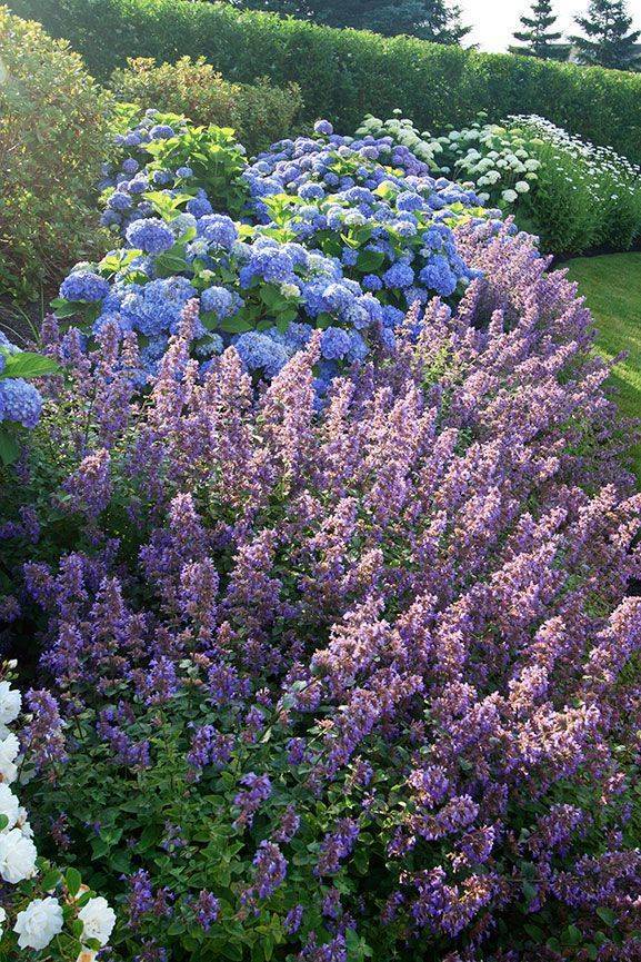 small-front-yard-flower-garden-77 Малък преден двор цветна градина