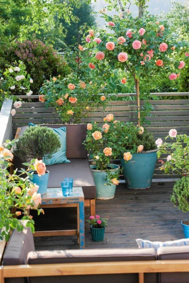 small-garden-ideas-pinterest-30_20 Идеи за малка градина Пинтерест