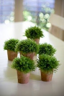 small-pot-plant-ideas-01_14 Малки саксии растителни идеи