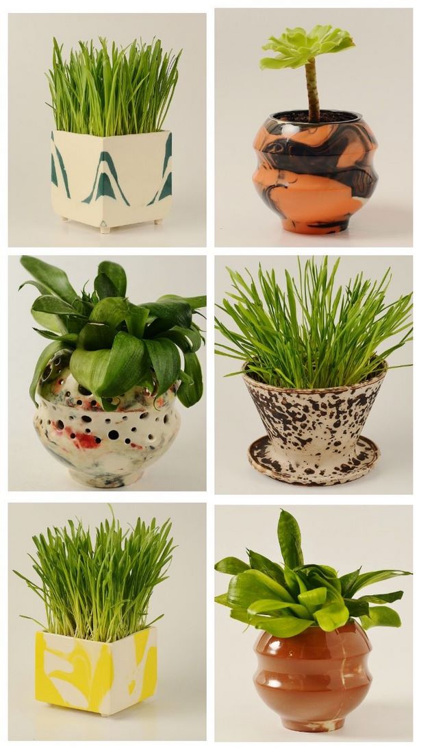 small-pot-plant-ideas-01_3 Малки саксии растителни идеи