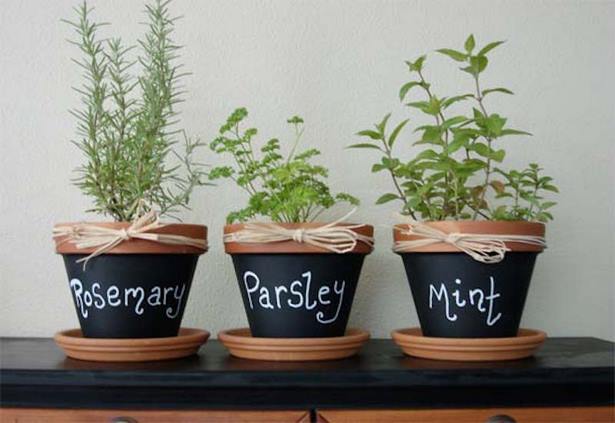small-pot-plant-ideas-01_4 Малки саксии растителни идеи
