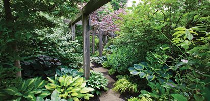 small-shady-garden-ideas-19_13 Малки сенчести градински идеи