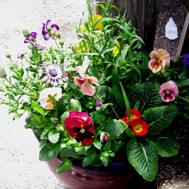 spring-container-garden-ideas-07_13 Пролетен контейнер градински идеи