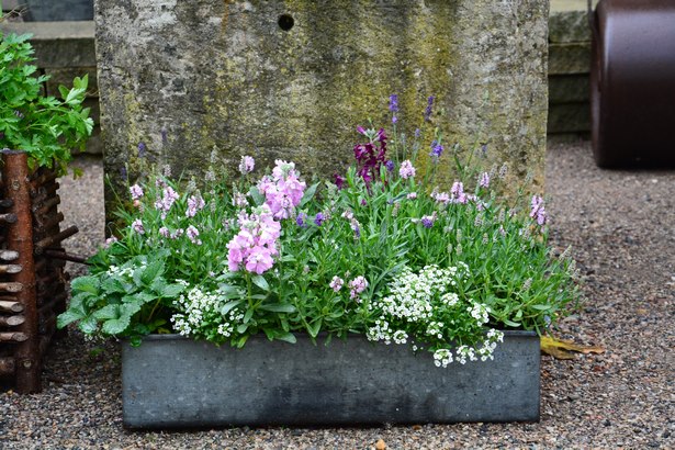 spring-outdoor-planter-ideas-94_4 Пролет открит плантатор идеи