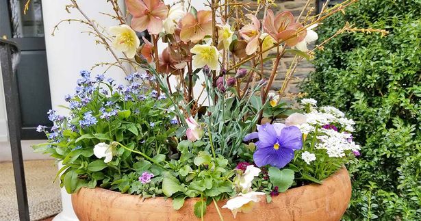 spring-potted-plant-ideas-12 Пролетни саксийни идеи за растения