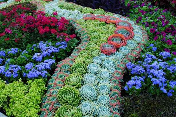 succulent-garden-ideas-16 Сочни градински идеи