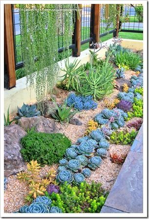 succulent-garden-ideas-16_10 Сочни градински идеи