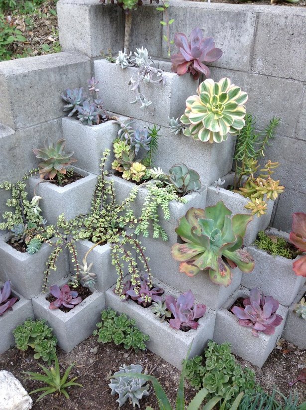 succulent-garden-ideas-16_12 Сочни градински идеи