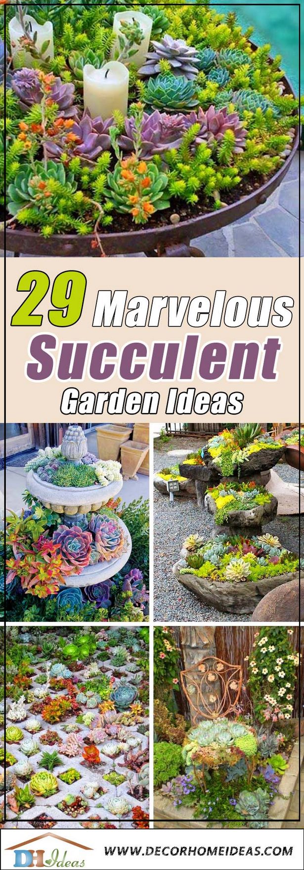 succulent-garden-ideas-16_14 Сочни градински идеи