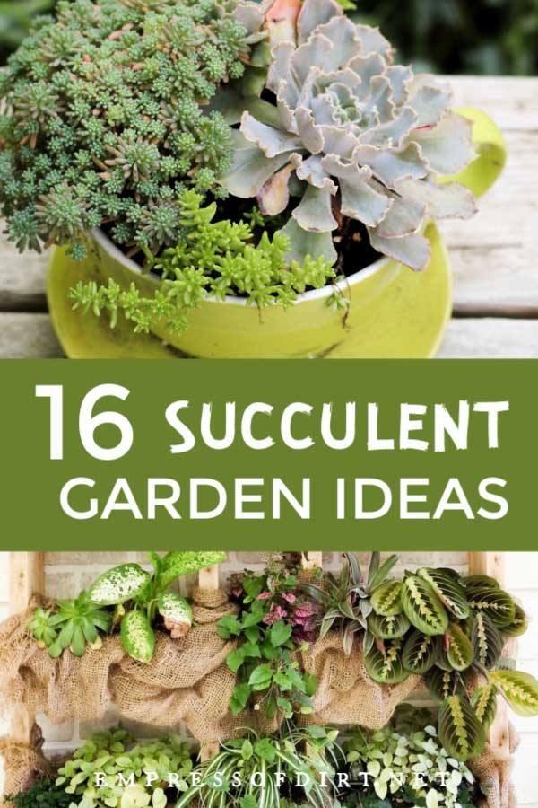 succulent-garden-ideas-16_15 Сочни градински идеи