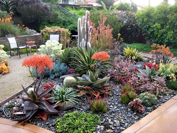 succulent-garden-ideas-16_16 Сочни градински идеи